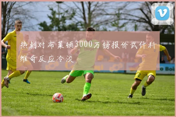 热刺对布莱顿3000万镑报价武什科维奇反应冷淡
