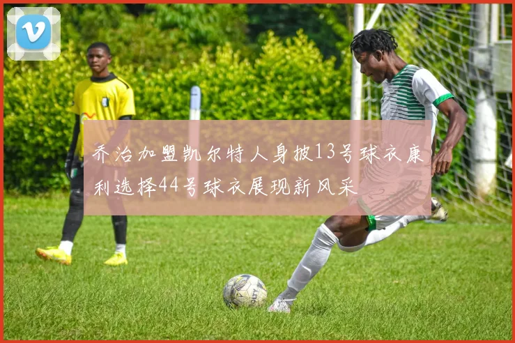 乔治加盟凯尔特人身披13号球衣康利选择44号球衣展现新风采